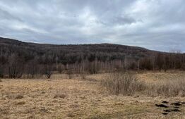 Teren langa Lacul Micesti 5000mp