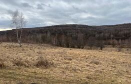 Teren langa Lacul Micesti 5000mp