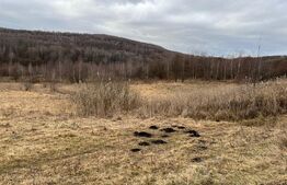 Teren langa Lacul Micesti 5000mp