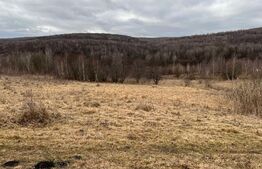 Teren langa Lacul Micesti 5000mp