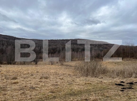 Teren de vânzare Exterior Sud - 105877TV | BLITZ Cluj-Napoca | Poza1