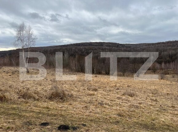 Teren de vânzare Exterior Sud - 105877TV | BLITZ Cluj-Napoca | Poza2