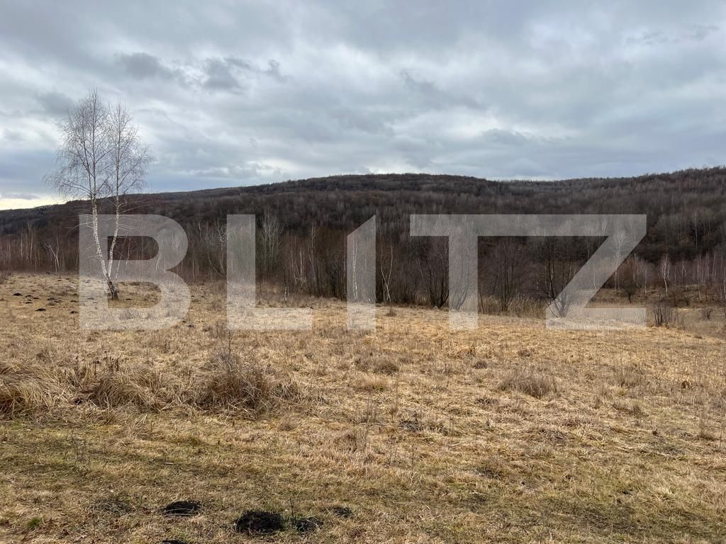 Teren de vânzare Exterior Sud - 105877TV | BLITZ Cluj-Napoca | Poza2