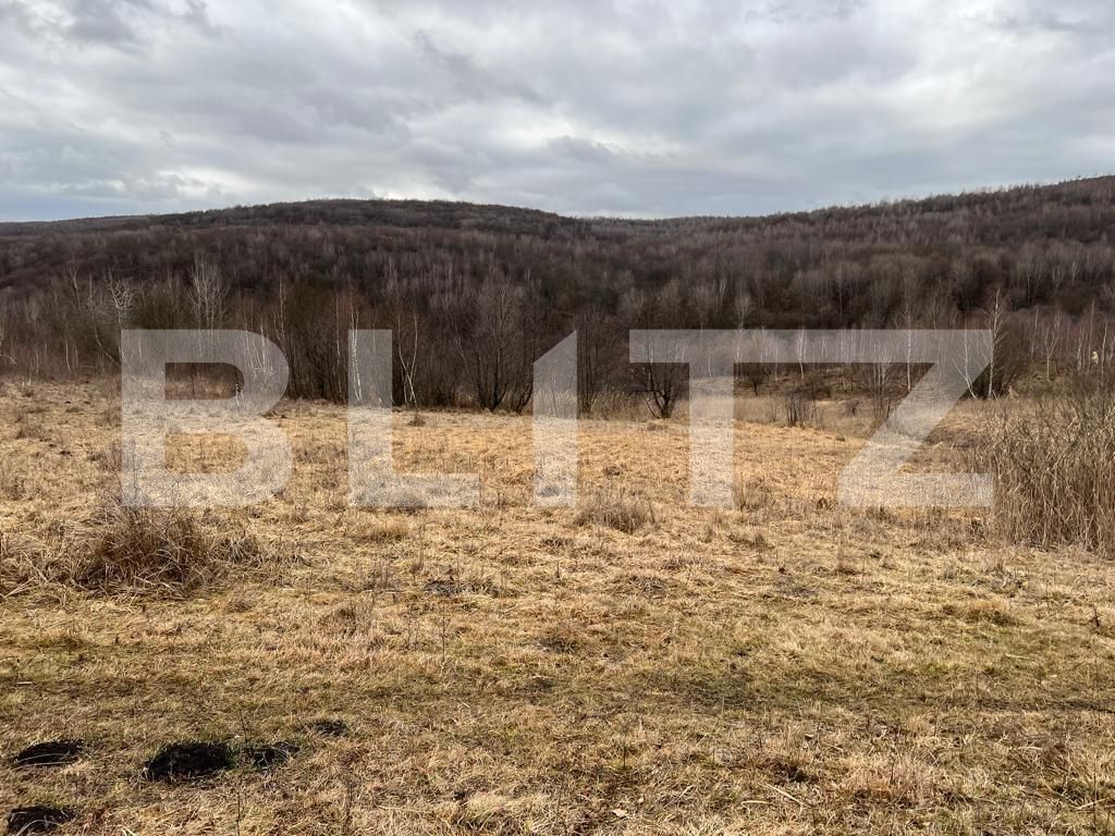 Teren de vânzare Exterior Sud - 105877TV | BLITZ Cluj-Napoca | Poza6