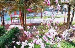 Casa individuala, 130mp utili, 434 teren, garaj, Zorilor!