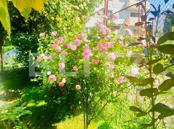 Casa de vânzare 4 camere Zorilor - 105940CV | BLITZ Cluj-Napoca | Poza18