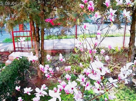 Casa de vânzare 4 camere Zorilor - 105940CV | BLITZ Cluj-Napoca | Poza17