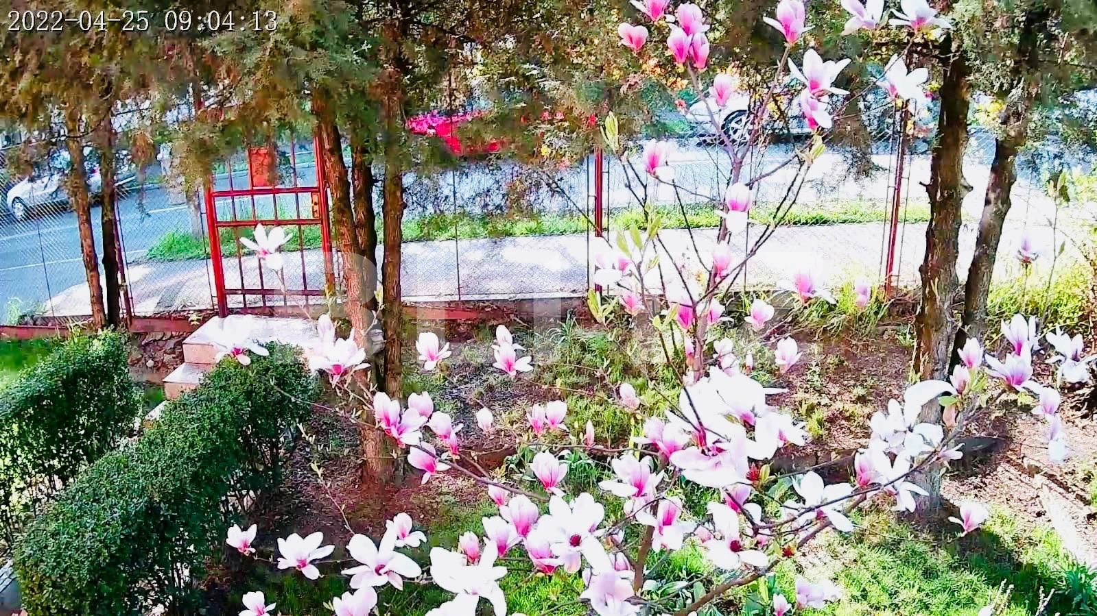 Casa de vânzare 4 camere Zorilor - 105940CV | BLITZ Cluj-Napoca | Poza17