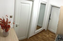 Apartament 2 camere, 50 mp, etaj intermediar, Astra