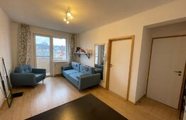 Apartament 2 camere, 45 mp, recent renovat, zona Mc Donald's