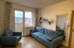 Apartament 2 camere, 45 mp, recent renovat, zona Mc Donald's