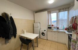 Apartament 2 camere, 45 mp, recent renovat, zona Mc Donald's