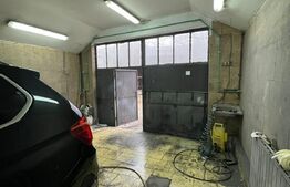 Hala pretabila pentru vopsitorie/depozitare, 2 parcari, Luna de sus