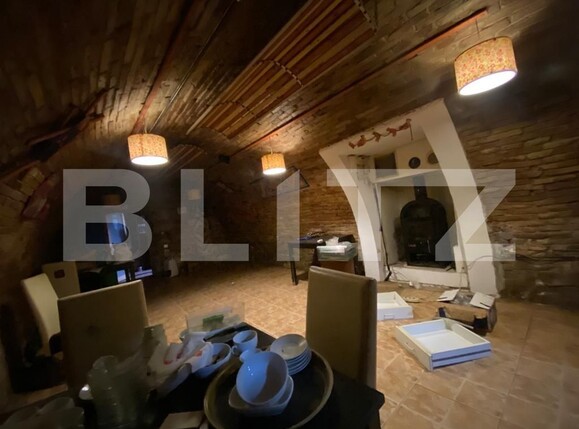 Spațiu comercial de închiriat Central - 106062SIC | BLITZ Cluj-Napoca | Poza3