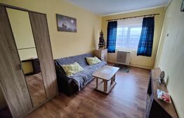 Garsoniera cu priveliste! 21 mp , mobilat utilat, etaj 1, zona Stadion CFR