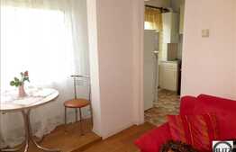 Inchiriere 1 camera, 28 mp utili, prima inchiriere, mobilat modern, zona UMF!