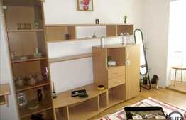 Inchiriere 1 camera, 28 mp utili, prima inchiriere, mobilat modern, zona UMF!