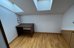 Casa spatioasa, 277mp utili, 100mp curte, garaj, zona Centrala