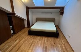 Casa spatioasa, 277mp utili, 100mp curte, garaj, zona Centrala