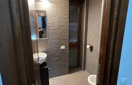 Casa spatioasa, 277mp utili, 100mp curte, garaj, zona Centrala