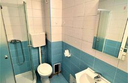 Apartament cu 1 camera, 42 mp, zona P-ta Abator