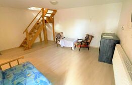 Apartament cu 1 camera, 42 mp, zona P-ta Abator