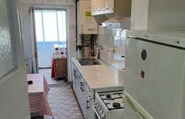 Apartament 1 camera, 42 mp utili, decomandat, A.C., zona Podului Calvaria