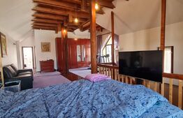 Casa individuala in zona Platinia