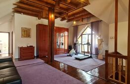 Casa individuala in zona Platinia