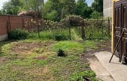 Casa, 85 mp utili, 850 mp gradina, parcari, zona strazii Paris