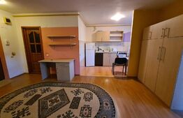 Garsoniera 34mp, etaj doi, orientare sudica, parcare, zona Atelierului de Pizza