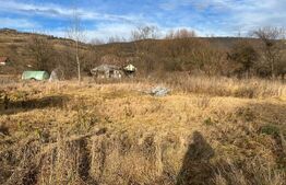 Teren Intravilan Radaia 1100mp in centru langa DN