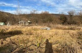 Teren Intravilan Radaia 1100mp in centru langa DN