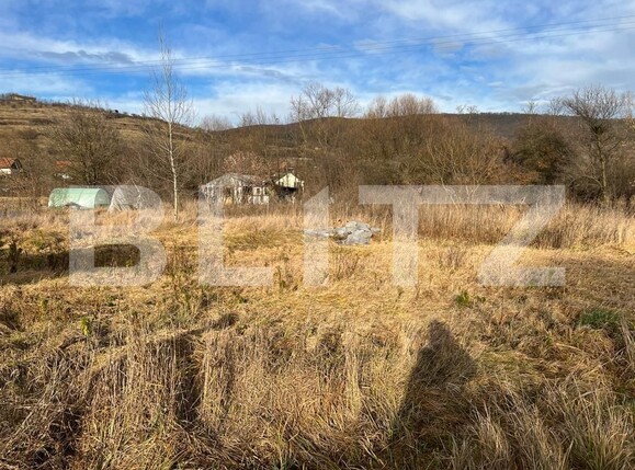 Teren de vânzare Radaia - 106328TV | BLITZ Cluj-Napoca | Poza2