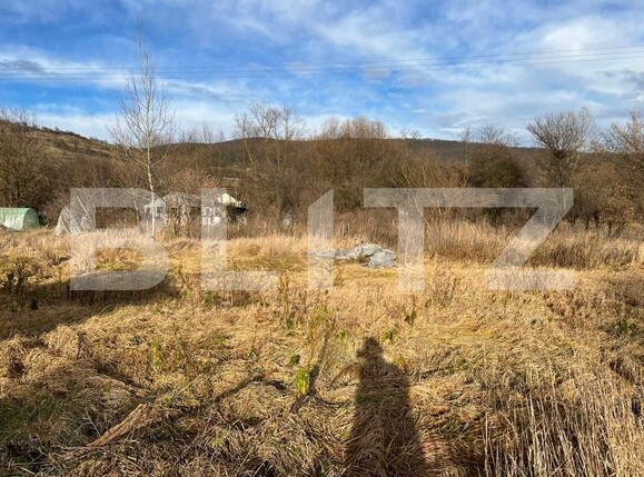 Teren de vânzare Radaia - 106328TV | BLITZ Cluj-Napoca | Poza1