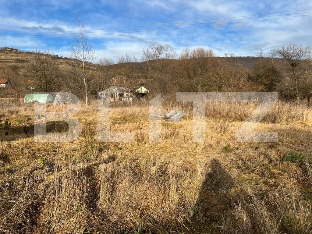 Teren de vânzare Radaia - 106328TV | BLITZ Cluj-Napoca | Poza2