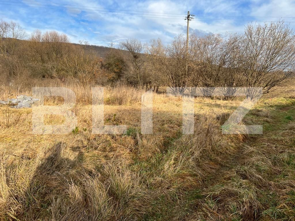 Teren de vânzare Radaia - 106328TV | BLITZ Cluj-Napoca | Poza3