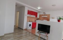 Apartament cochet , 2 camere , 45 mp , zona Tineretului