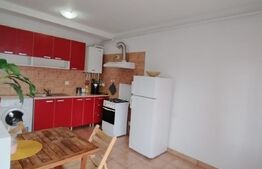 Apartament cochet , 2 camere , 45 mp , zona Tineretului
