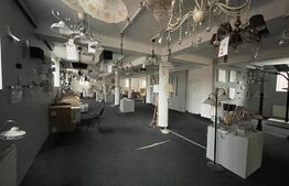 Spatiu comercial  de 530 mp cu multiple destinatii