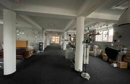 Spatiu comercial  de 530 mp cu multiple destinatii