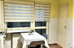 Garsoniera, 40 mp, decomandata, zona Piata Marasti