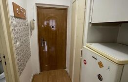 Garsoniera ideala pentru investitie, 27 mp, zona strazii Constantin Brancusi