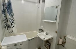 Garsoniera ideala pentru investitie, 27 mp, zona strazii Constantin Brancusi