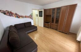 Garsoniera ideala pentru investitie, 27 mp, zona strazii Constantin Brancusi