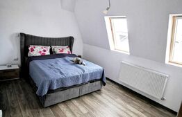 Casa cu 4 camere, 106 mp utili, mobilata si utilata modern, cartier Izvor