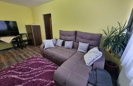 Apartament 2 camere, 47mp, orientare sudica, zona Piata 14 Iulie