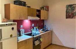 Garsoniera de inchiriat, 38 mp, pet friendly, zona The Office