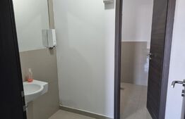 Spatiu de birouri, 170 mp, cladire noua, zona Cetatuie