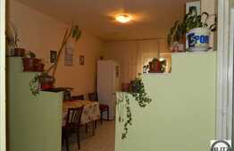 Apartament de vanzare, 4 camere, etaj intermediar, boxa la subsol, zona Campului